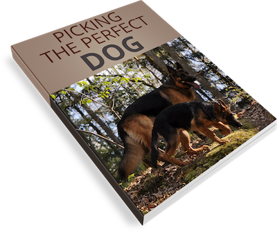 Free Guide!